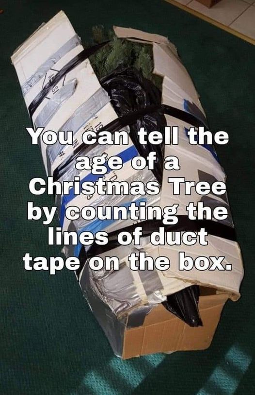 You can tell the age of a Christmas Tree""