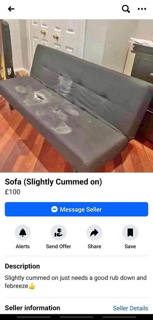 Sofa Slightly Cummed on""