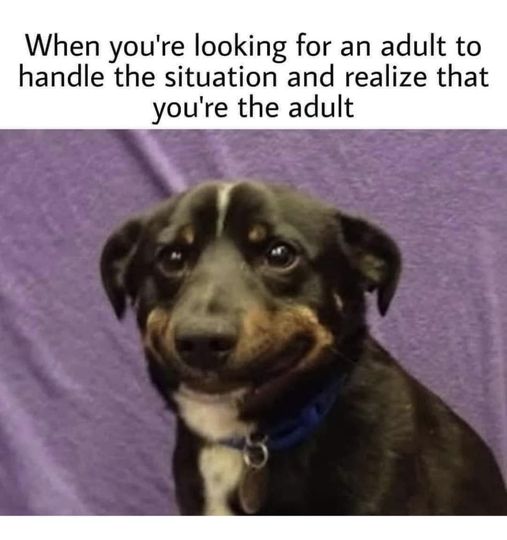 When you're looking for an adult""
